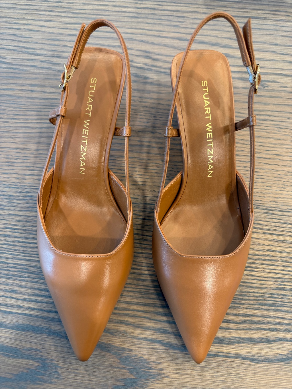 Stuart Weitzman Macchiato Pointed Leather Slingback Pumps